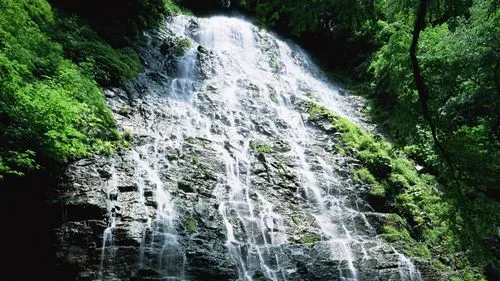 高效智能系统